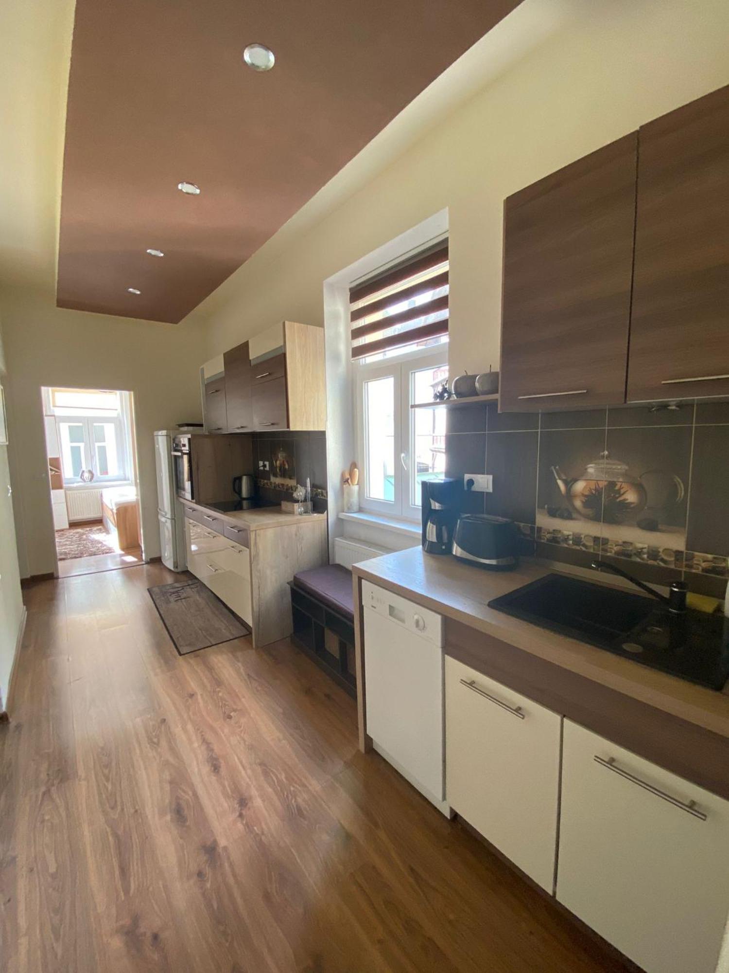 City Center Apartment Katarina 玛丽亚温泉 外观 照片